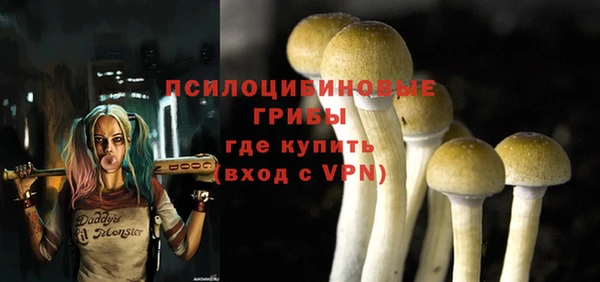герыч Бородино