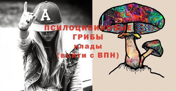 герыч Бородино