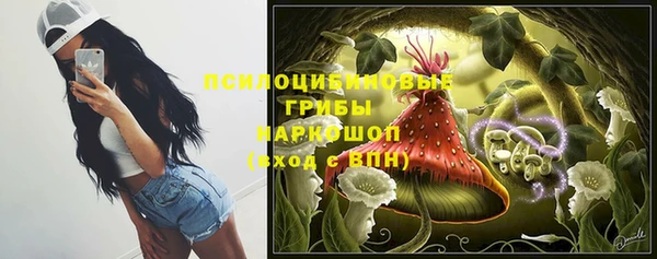 герыч Бородино