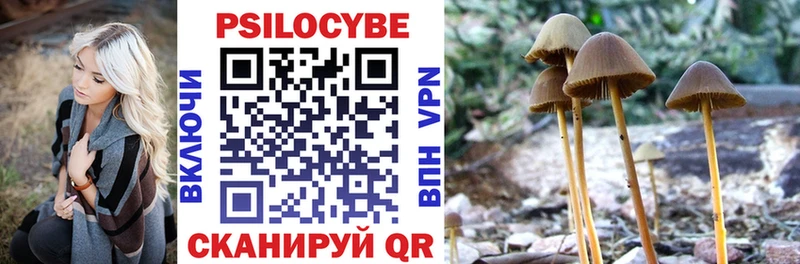 Псилоцибиновые грибы ЛСД Купить где Макарьев